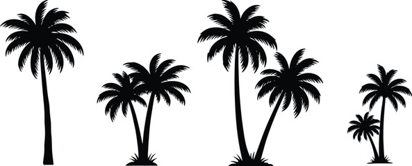 Collection of tropical palm tree silhouettes isolated on white background, coconut trees vector illustration, summer nature design elements for decoration