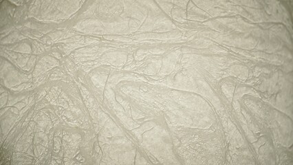 Creative Abstract Organic Paper and Texture Backgrounds for Design and Presentations