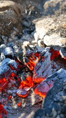 Glowing Embers of a Dying Campfire Scene