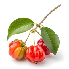 Eugenia Uniflora Simplex Wild Surinam Cherry Classic Glossy Ribbed Tropical Fruits Shining with Exotic Beauty and Rare Botanical Elegance on Clean White Background Minimal Modern Still Life