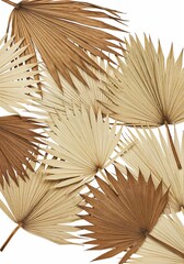 Earthy Elegance: A collection of intricately detailed dried palm leaves in various warm, earthy tones, perfectly arranged to create a visually captivating display of natural beauty.