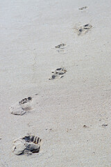 Close up of footprints in beach sand