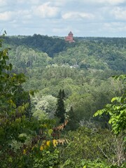 view across the forest to castle tower in Latvia 