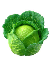 Fototapeta premium Fresh green cabbage isolated on transparent background