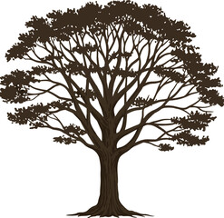 Dark Brown Silhouette of a Mature Tree nature plant