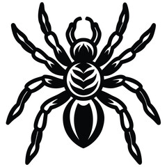 Obraz premium tarantula vector icon