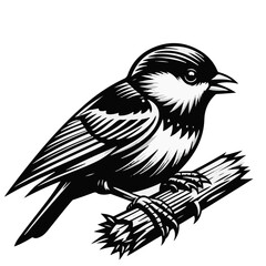 Illustration of a bird perched on a branch with detailed line work in black and white graphic style design