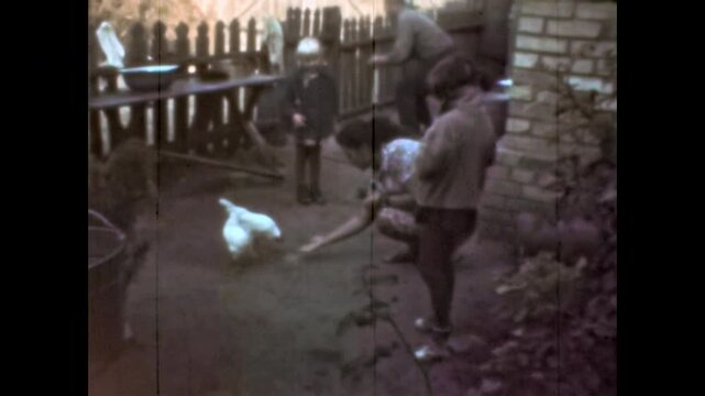 Mother with children, feeding poultry by hand in rural outdoors. Family life in rustic village yard. Family bonding in simple countryside living. Vintage film. Old archive video. Archival retro 1960s