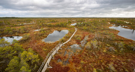 The wooden path between deep swamps