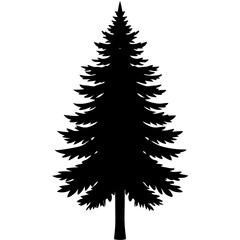 Tree silhouette on white background