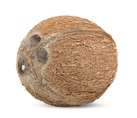 Coconut  isolated on transparent png