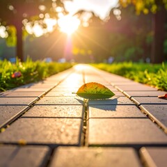 Sunlight path through park
