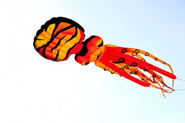 Beautiful kites at the kite festival, the patterns on the kites are suitable for the background.

