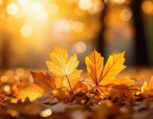 Close-up of golden autumn leaves on the ground with warm sunlight and soft bokeh background