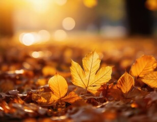 Close-up of golden autumn leaves on the ground with warm sunlight and soft bokeh background