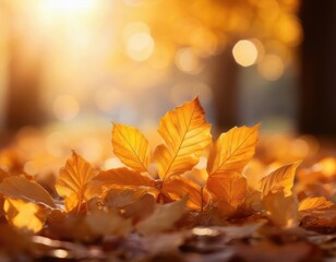 Close-up of golden autumn leaves on the ground with warm sunlight and soft bokeh background