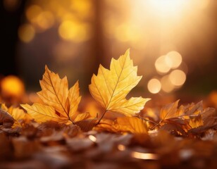 Close-up of golden autumn leaves on the ground with warm sunlight and soft bokeh background