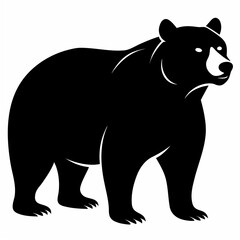 black bear vector