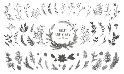 Winter set of plant silhouettes. Christmas wreath, fir branches, berries, holly, flowers, cones, coniferous greenery, mistletoe, poinsettia. Vector illustration hand drawn