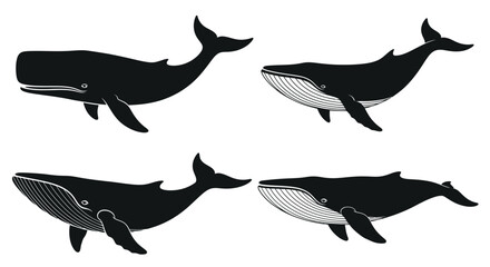 Four silhouette style black whales swimming gracefully marine mammal ocean wildlife creatures vector © Sazid