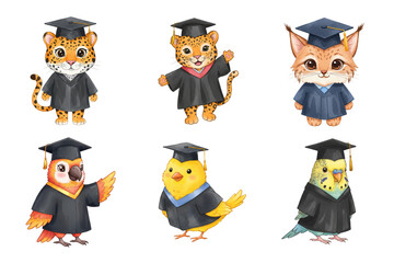 Watercolor Graduation Animals Illustration Isolated on Transparent Background