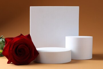Promotion. Podiums for product presentation and rose flower on brown background