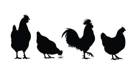Silhouette collection of roosters and hens diverse poses farm poultry animals vector