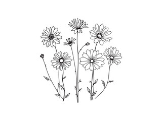 Yarrow Benefits For Health And Beauty