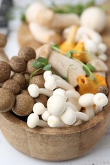 Different raw mushrooms and microgreens in bowl on light table, closeup