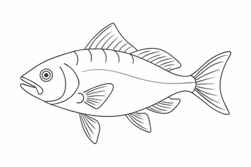Fish Line Art Illustration Isolated on White Background