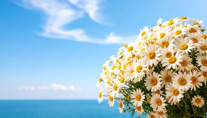 Daisies bouquet against a vibrant sky and sea