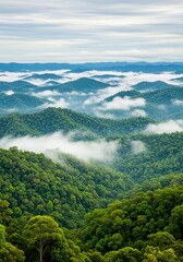 Fototapeta premium Breathtaking aerial view of lush green rainforest mountains enveloped in serene morning mist, showcasing natural sustainability and a tranquil environmental background
