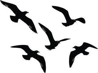 Silhouette birds flying in motion, dynamic seagull shapes, black vector bird icons, isolated flight poses, minimal wildlife illustration for design use