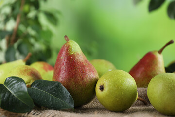 Fresh ripe pears on table and green leaves outdoors, closeup