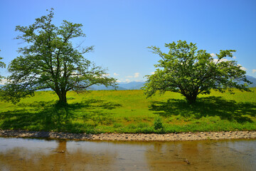 信玄堤公園　山梨県甲斐市竜王
