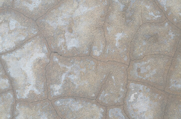 This detailed photograph captures the fine network of cracks on a gray, dry surface, effectively...
