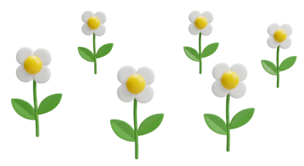 Playful daisy flowers with green leaves for spring decorations, perfect for cheerful designs and springtime