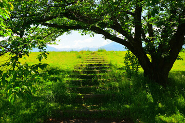 信玄堤公園　山梨県甲斐市竜王