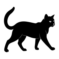 black cat silhouette