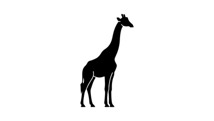 Giraffe silhouette with transparent background