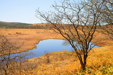 八島ヶ原湿原　長野県下諏訪町