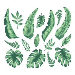 Botanical Tropical Leaves Set Green Foliage Illustration Pack