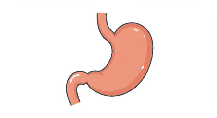 Obraz premium Illustration of a Human Stomach Anatomy for Educational and Medical Purposes