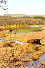 八島ヶ原湿原　長野県下諏訪町