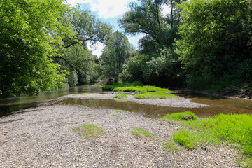 ​A wide shot of a shallow river flowing through a stony bed, framed by dense green trees and bushes. The sunny day highlights the vibrant contrast between the green vegetation and the dry riverbed, cr