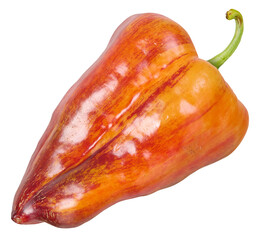 raw red bell pepper isolated