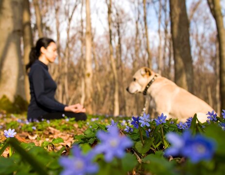 Woman meditating in forest with dog