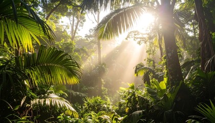 Sunlight streams through lush, tropical foliage. Vibrant greens, palms, and a dense canopy create a sun-dappled, humid atmosphere