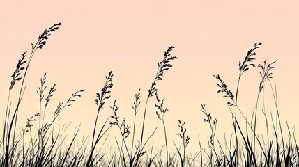 Obraz premium 21.A silhouette of grass swaying gently in the breeze, set against a soft background of pastel-colored skies. The vector illustration captures the delicate form of the grass, with individual blades
