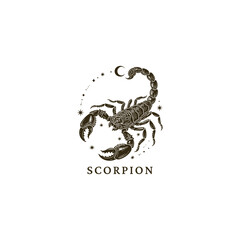 mystical engraving of a large, highly detailed scorpion, representing the Scorpio zodiac sign. Vector template illustration